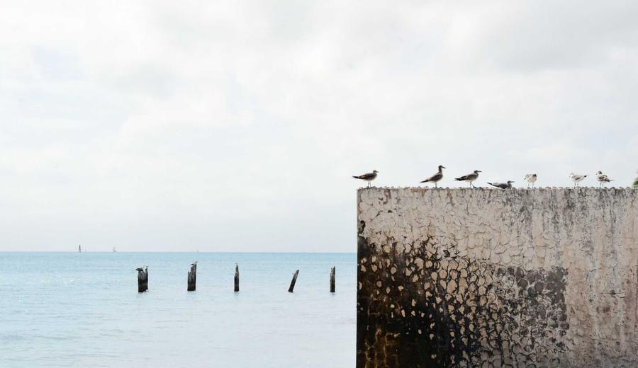 Maintenance and inspection